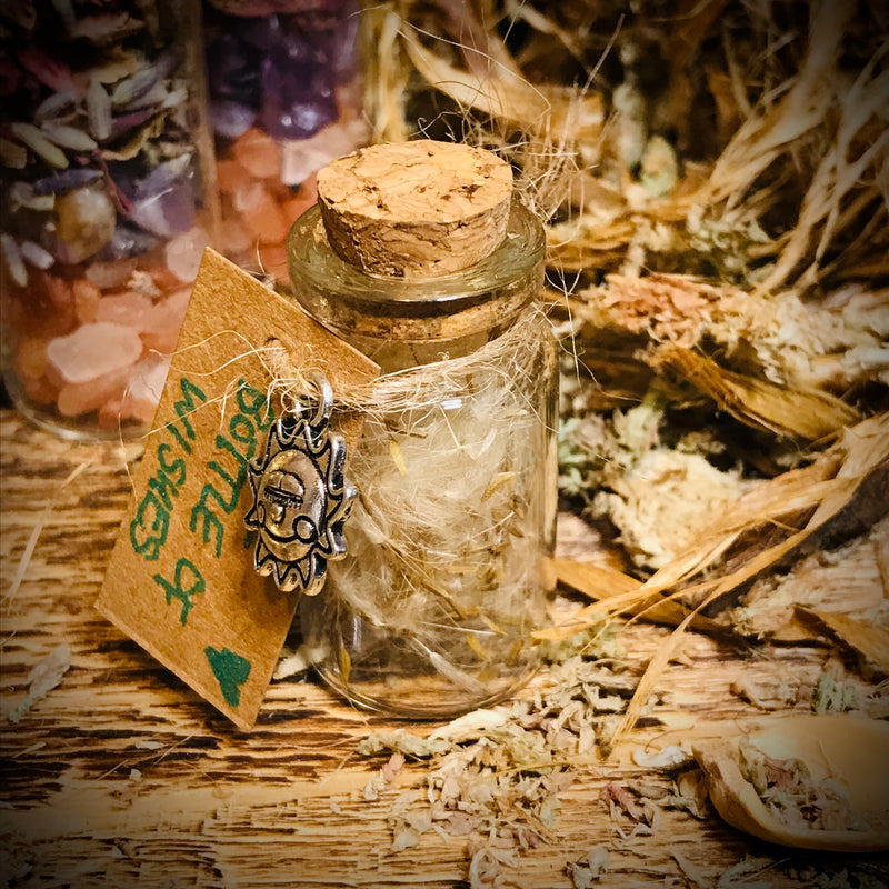 Little Bottle Of Wishes