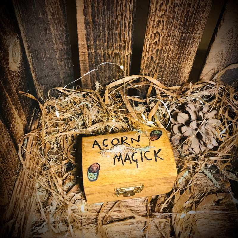 Handmade Acorn Magick Kit/Box