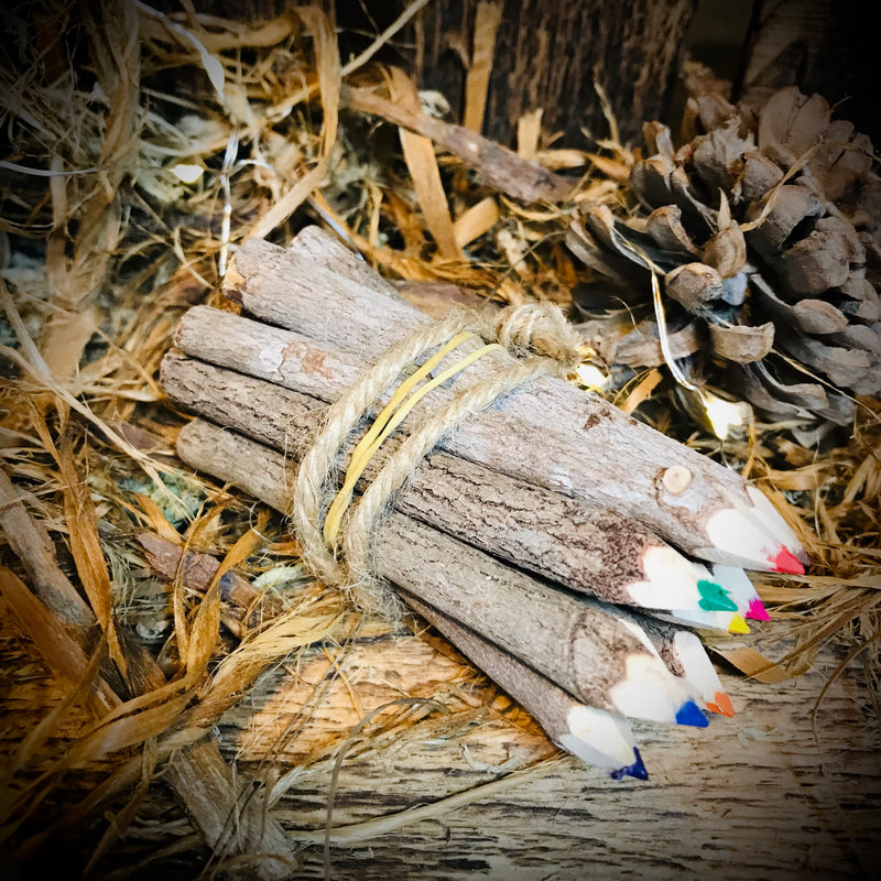 Twig Coloured Pencils From The Tamarind Tree Eco Friendly